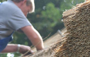 professional Conwy thatchers